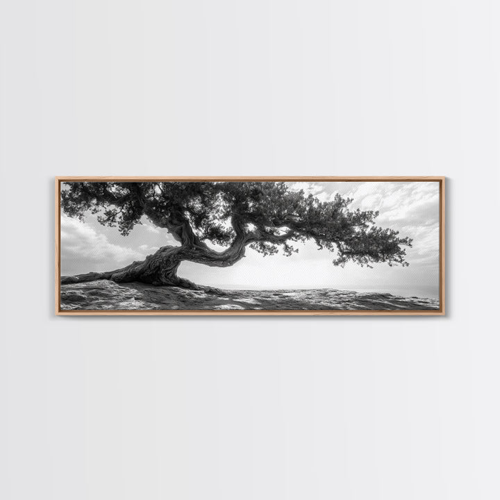 Bending Tree, Windswept Landscape, Coastal Nature, Monochrome Art, Framed Canvas Print, Zen Wall Art, Minimalist Living Room Decor