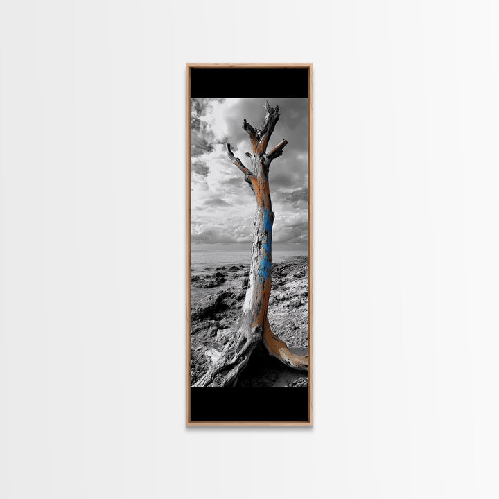 Painted Tree, Coastal Driftwood, Stormy Sky, Bold Texture – Framed Canvas Print, Beach House Decor, Abstract Nature Art, Rustic Minimalism