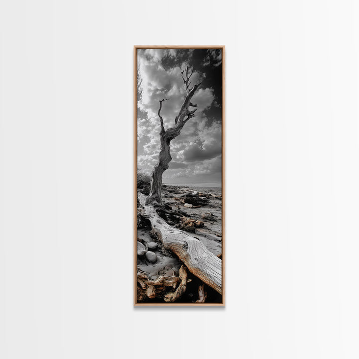 Weathered Tree, Coastal Roots, Dramatic Sky, Natural Form – Canvas Print, Living Room Wall Art, Monochrome Photography, Driftwood Decor