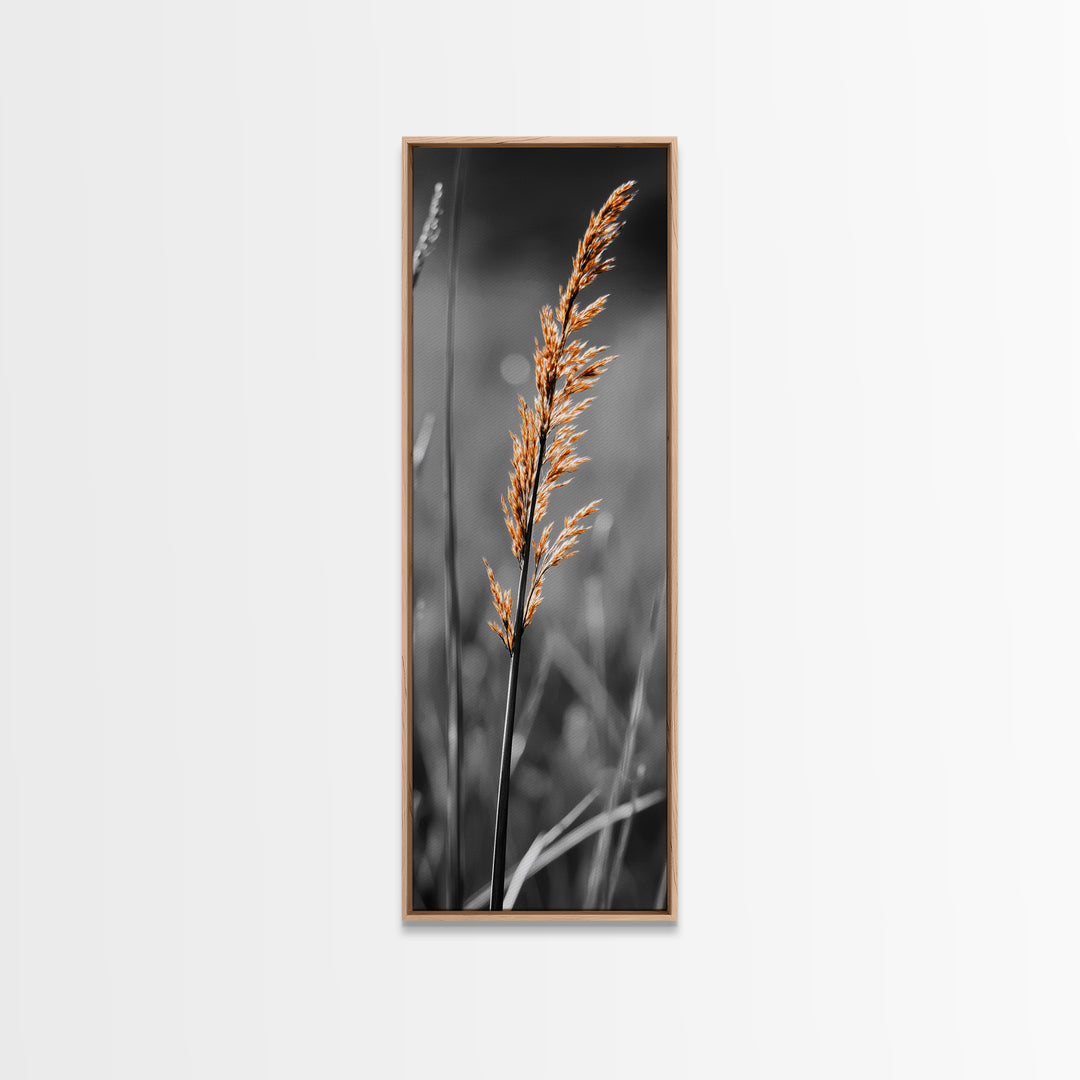 Autumn Grass, Botanical Print, Nature Photography, Single Stem, Canvas Print, Fall Wall Art, Neutral Home Decor, Minimalist Living Room Art