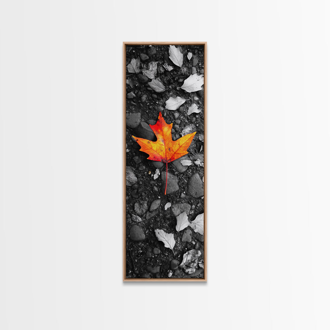 Maple Leaf Focus, Autumn Ground, Fall Vibes, Canvas Print, Nature Photography, Minimalist Art, Entryway Wall Decor, Earth Tone Aesthetic