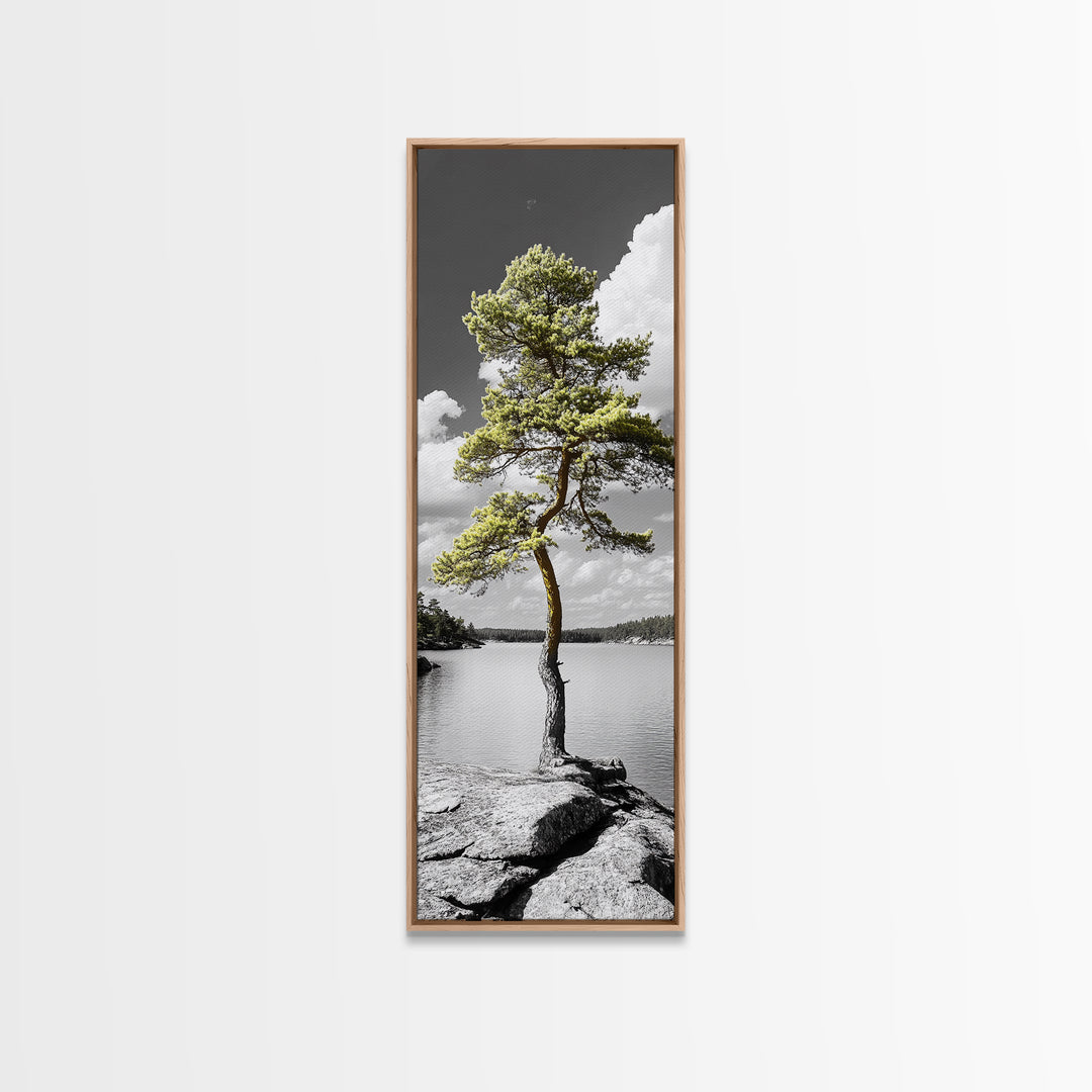 Twisted Pine Tree, Nature Serenity, Calm Wilderness, Coastal Forest, Framed Canvas Print Boho Bedroom Wall Art, Earth Tone Decor