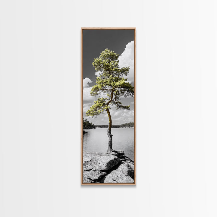 Twisted Pine Tree, Nature Serenity, Calm Wilderness, Coastal Forest, Framed Canvas Print Boho Bedroom Wall Art, Earth Tone Decor