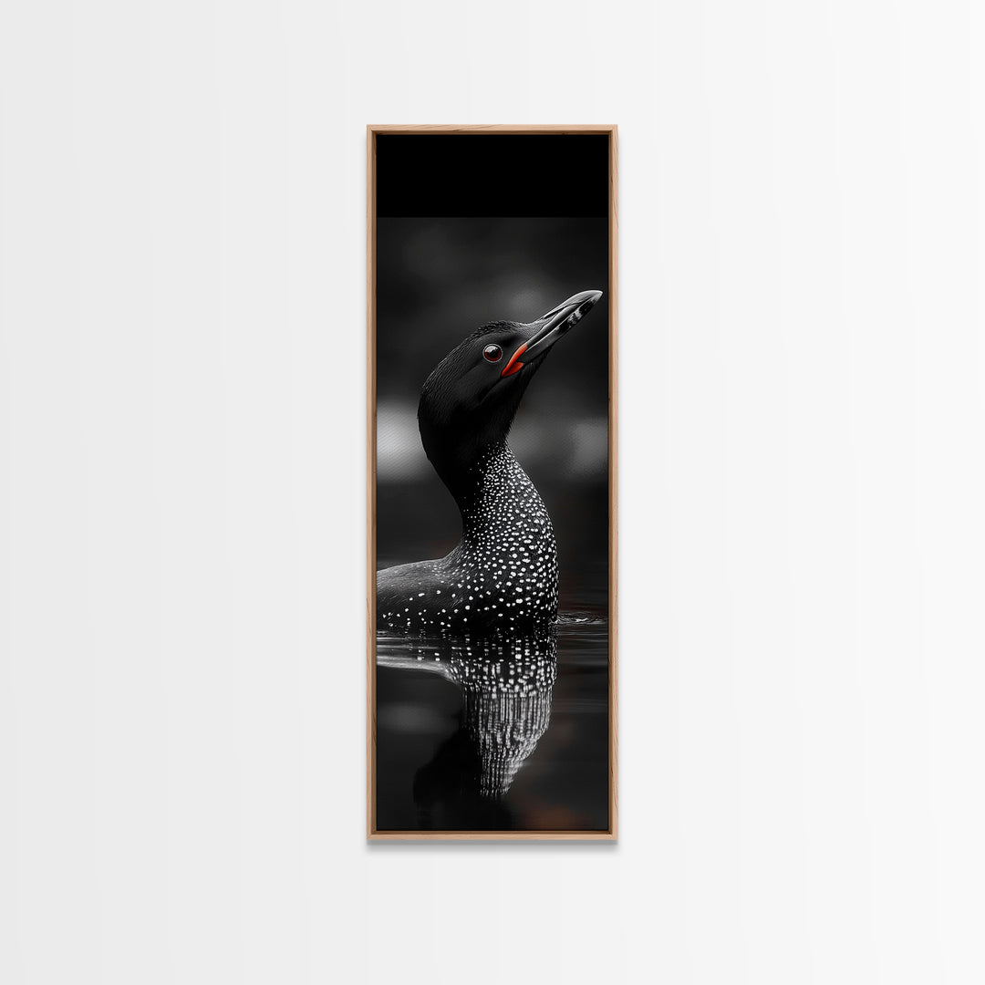 Loon Bird, Red Eye, Monochrome Wildlife, Nature Framed Canvas Print, modern living room wall art, black and white animal art