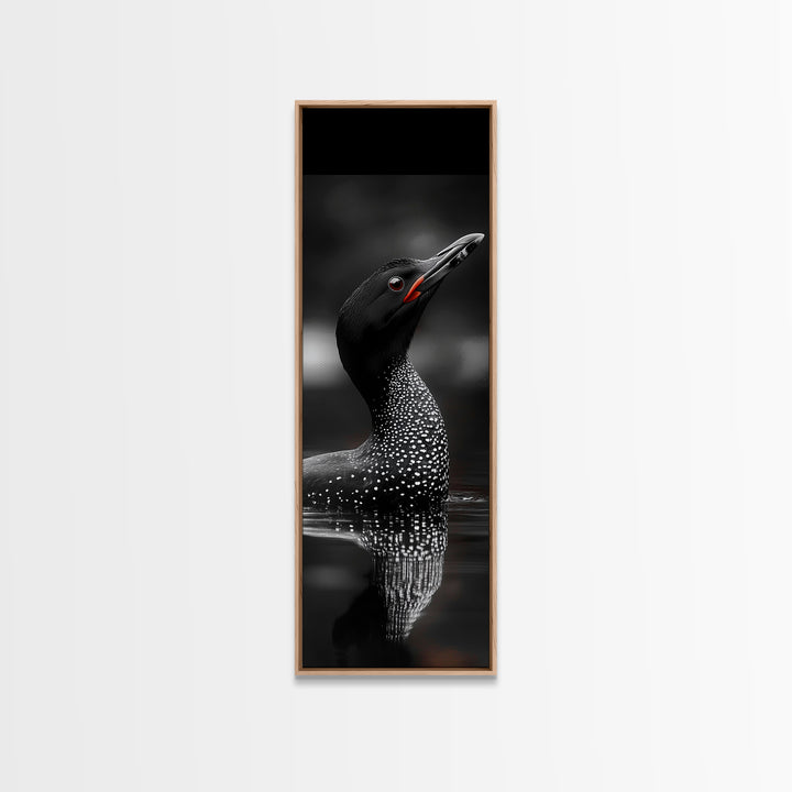 Loon Bird, Red Eye, Monochrome Wildlife, Nature Framed Canvas Print, modern living room wall art, black and white animal art