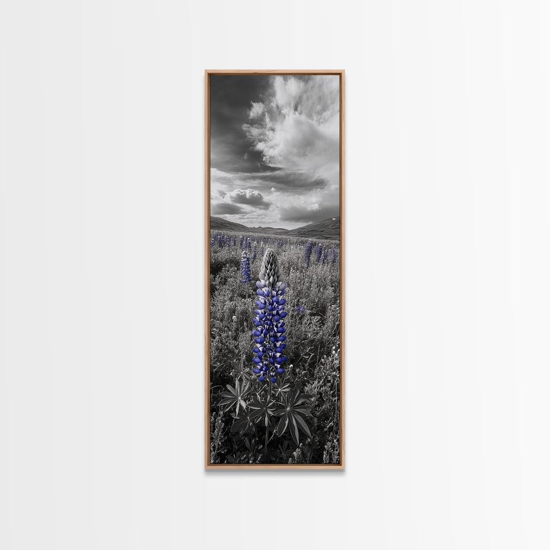 Blue Lupine, Wildflower Meadow, Cloudy Sky, Spring Bloom Framed Canvas Print, floral nature art, botanical hallway wall decor