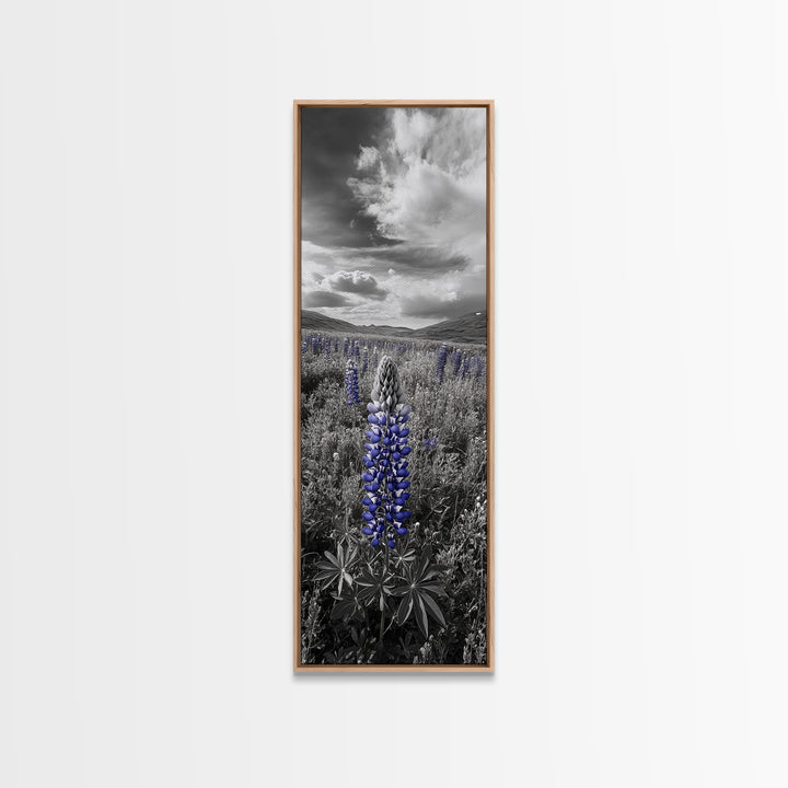 Blue Lupine, Wildflower Meadow, Cloudy Sky, Spring Bloom Framed Canvas Print, floral nature art, botanical hallway wall decor