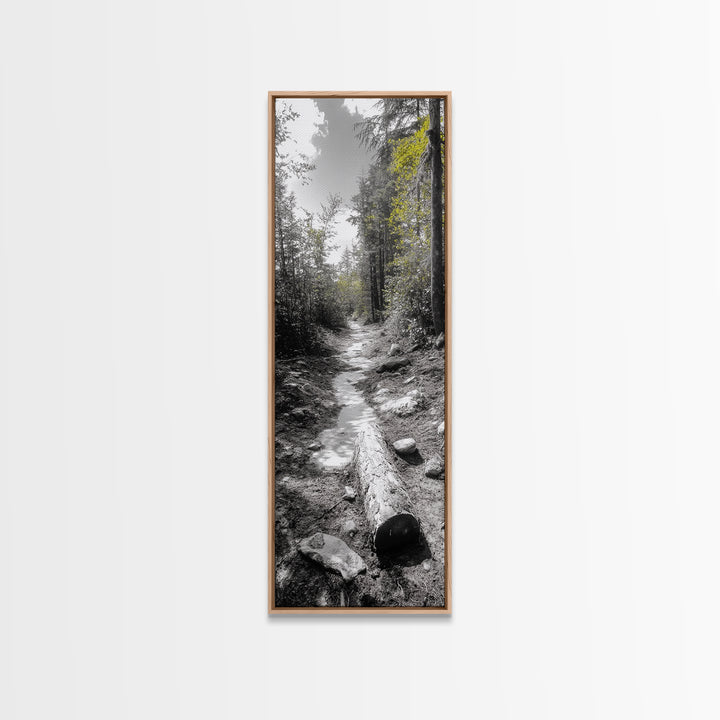 Forest Path, Autumn Leaves, Nature Trail, Framed Canvas Print, Black and White Wall Art, Cabin Decor, Rustic Hallway Accent