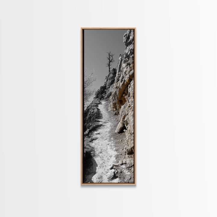 Cliff Pathway Art, Nature Trail Scene, Monochrome Rustic Landscape, Framed Canvas Print, Mountain Cabin Entryway Wall Decor