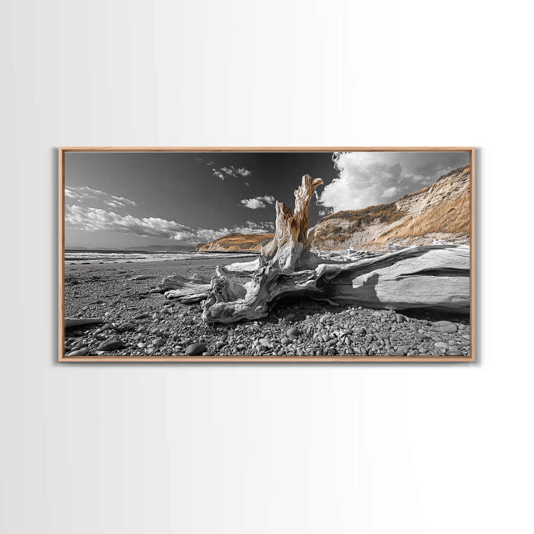 Coastal Driftwood, Beach Scene, Natural Texture, Modern Rustic, Framed Canvas Print, Neutral Tones, Office Wall Art, Coastal Vibe Decor