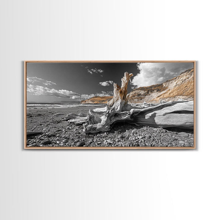 Coastal Driftwood, Beach Scene, Natural Texture, Modern Rustic, Framed Canvas Print, Neutral Tones, Office Wall Art, Coastal Vibe Decor