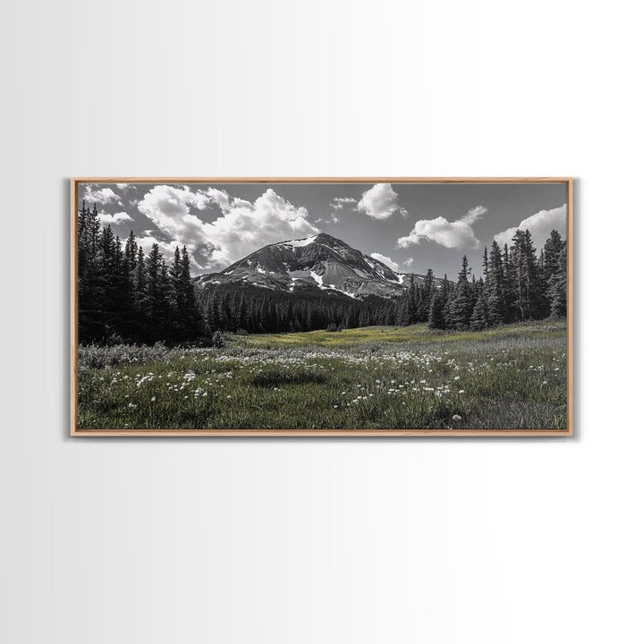 Mountain, Meadow, Wildflowers, Alpine meadow bloom and majestic peak on this Framed Canvas Print, serene Nature Wall Art for Entryway
