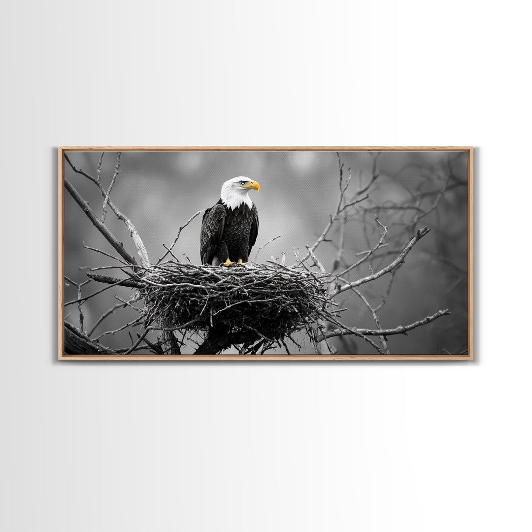 Bald Eagle, Monochrome Nature, Wildlife Photography, Fierce Majesty, Framed Canvas Print, Office Wall Art, Black White Bold Bird Scene