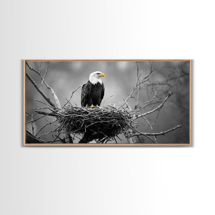Bald Eagle, Monochrome Nature, Wildlife Photography, Fierce Majesty, Framed Canvas Print, Office Wall Art, Black White Bold Bird Scene