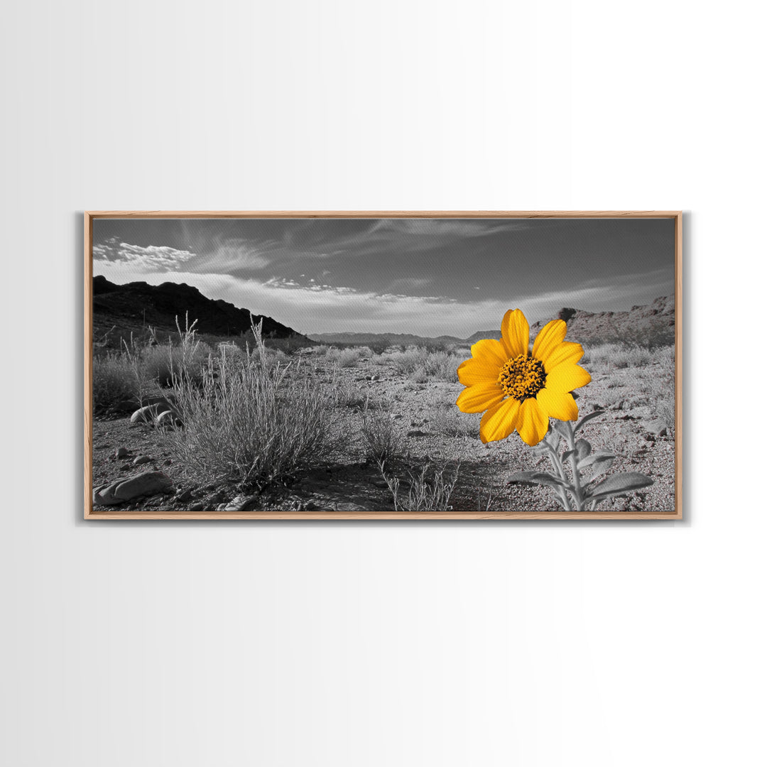 Yellow Flower, Desert Bloom, Monochrome Landscape, Canvas Print, Botanical Wall Art, Minimalist Nature Decor, Modern Kitchen Accent
