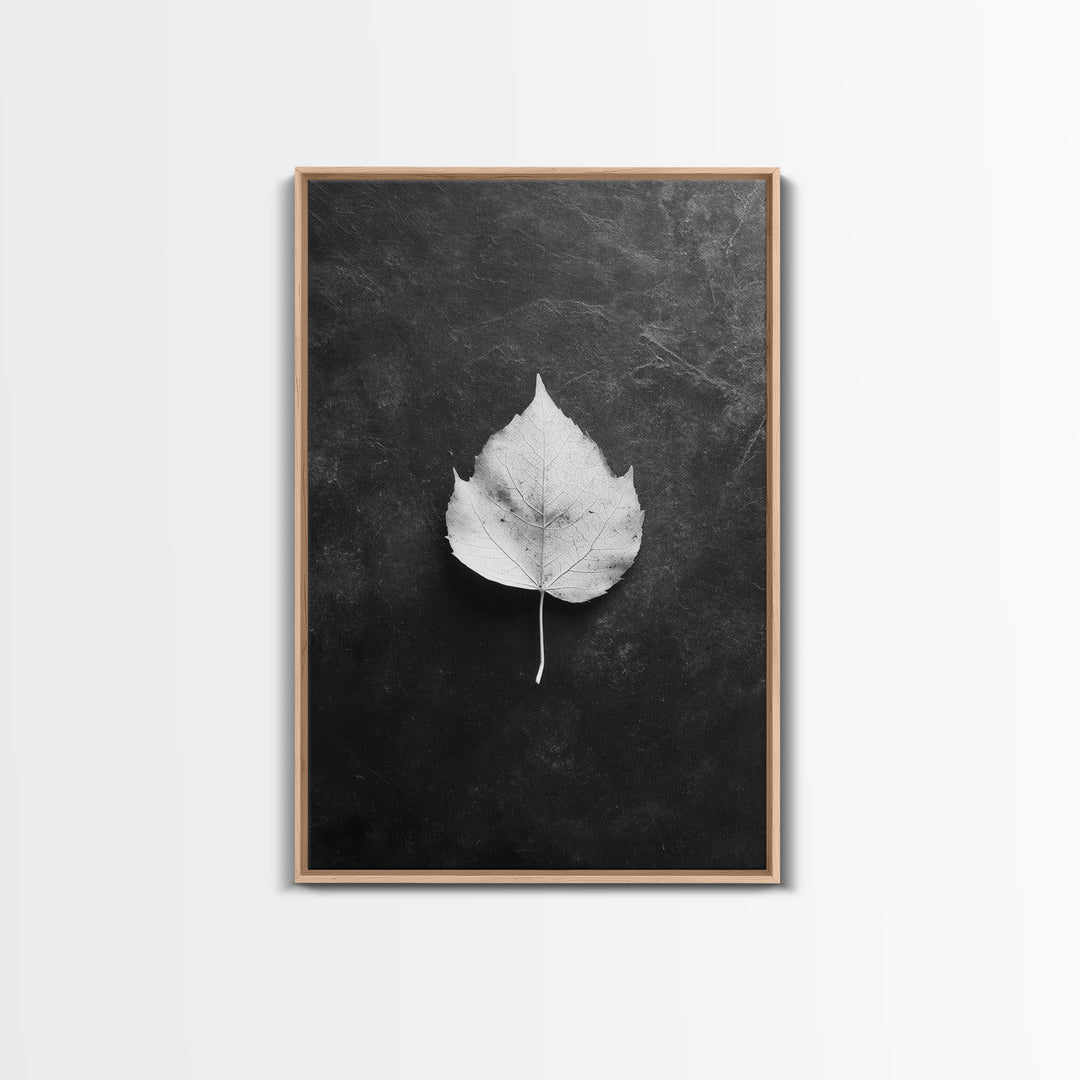 Monochrome Leaf, Nature Minimal, Still Life, Moody Art, Framed Canvas Print, Fall Wall Art, Kitchen Decor, Neutral Modern Aesthetic