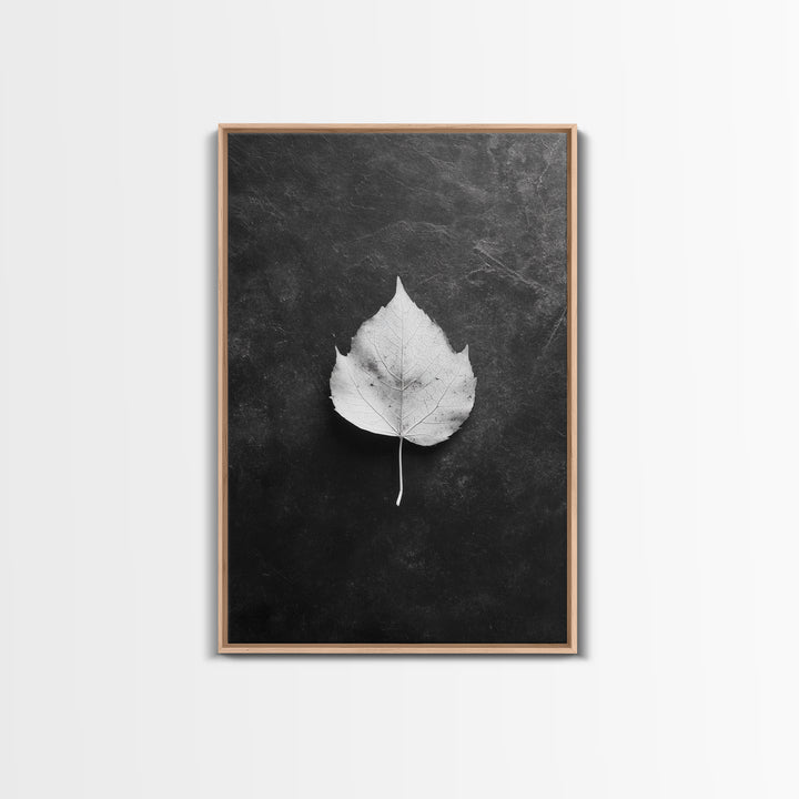 Monochrome Leaf, Nature Minimal, Still Life, Moody Art, Framed Canvas Print, Fall Wall Art, Kitchen Decor, Neutral Modern Aesthetic