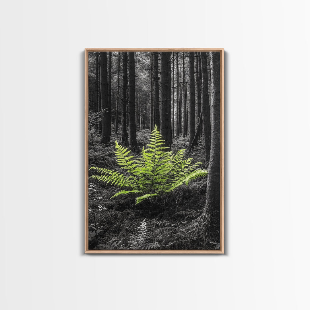 Green Fern, Forest Focus, Lush Nature, Woodland Light, Framed Canvas Print, Botanical Wall Art, Bedroom Decor, Minimalist Plant Art