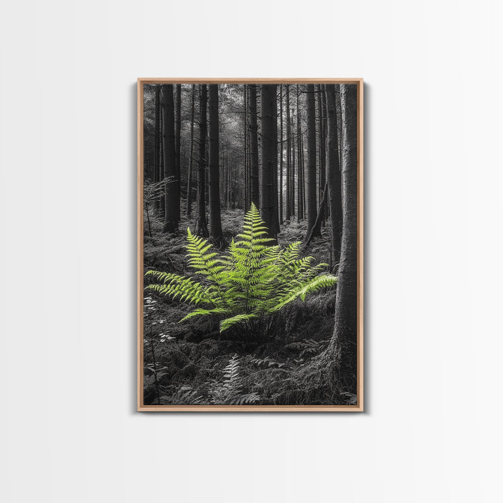 Green Fern, Forest Focus, Lush Nature, Woodland Light, Framed Canvas Print, Botanical Wall Art, Bedroom Decor, Minimalist Plant Art
