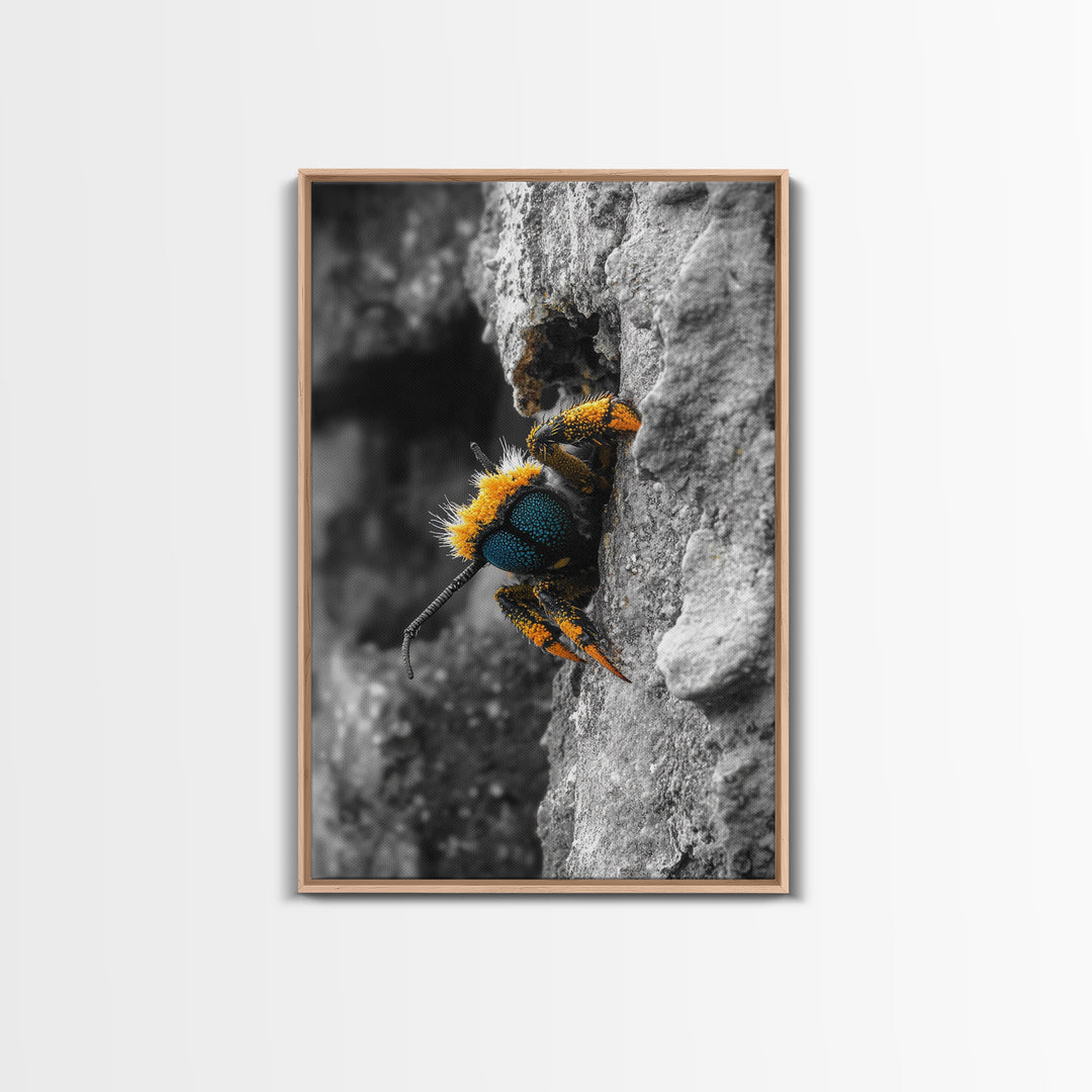 Fuzzy Bee Closeup, Insect Macro, Nature Texture, Framed Canvas Print, Wildlife Wall Art, Entomology Decor, Nature Photography
