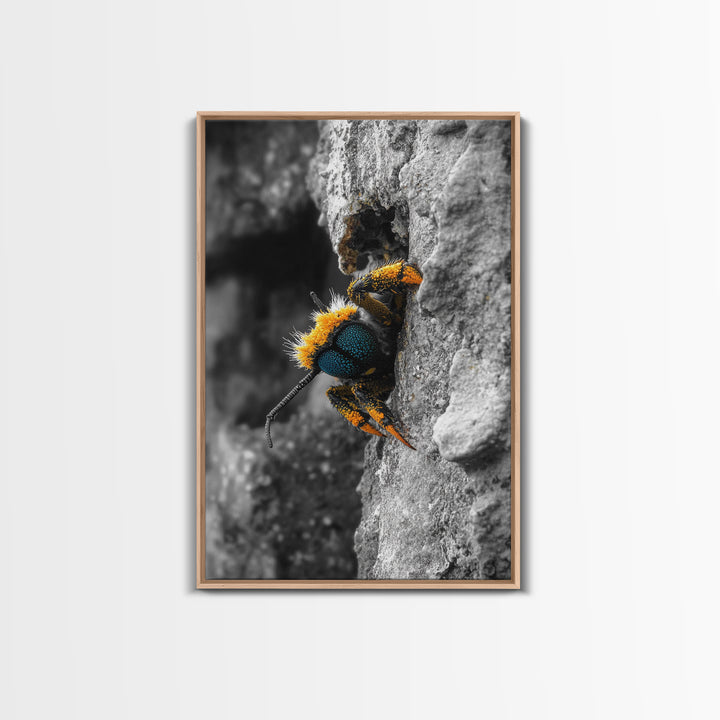 Fuzzy Bee Closeup, Insect Macro, Nature Texture, Framed Canvas Print, Wildlife Wall Art, Entomology Decor, Nature Photography