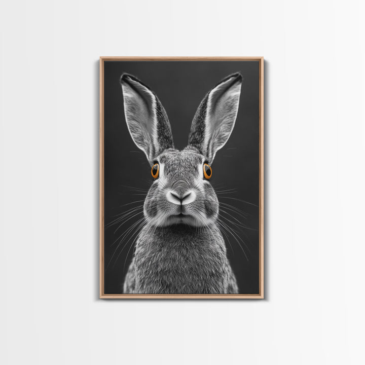 Wide Eyed Rabbit, Animal Portrait, Monochrome Humor, Framed Canvas Print, Nursery Wall Art, Whimsical Minimalist Decor, Funny Gift