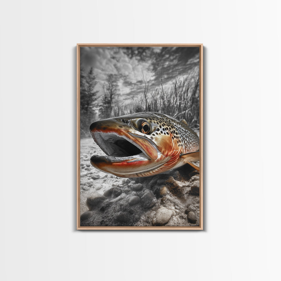 Brown Trout Closeup, Riverbed Focus, Dramatic Fish Art, Framed Canvas Print, Fisherman Gift, Cabin Wall Art, Rustic Outdoor Decor