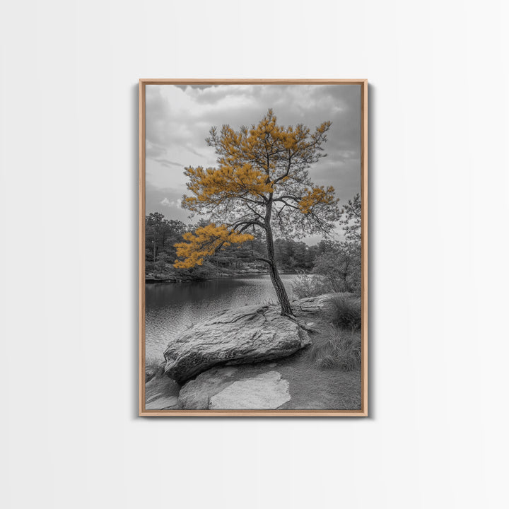 Golden Tree View, Nature Serenity, Fall Lake Art, Peaceful Pine, Framed Canvas Print, living room wall art, minimalist landscape print