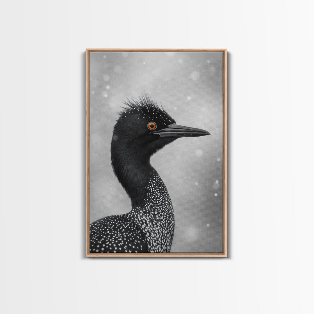 Black Loon, Bird Closeup, Snowy Glow, Winter Nature Canvas Print, Wildlife Wall Art, Modern Bedroom Decor, Birdwatcher Gift Print