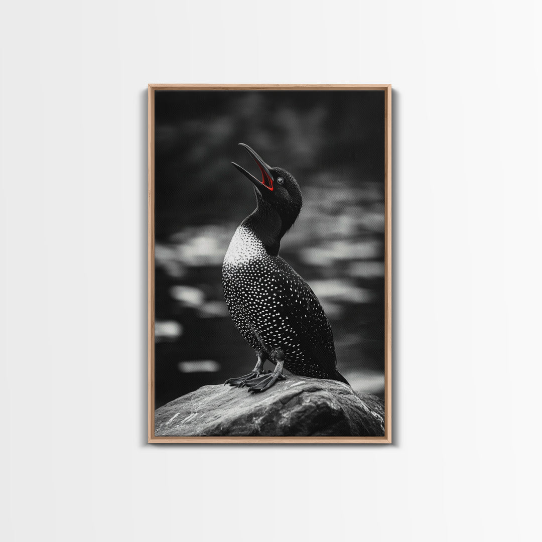 Loon Call, Singing Bird, Red Beak, Monochrome Framed Canvas Print, Wildlife Wall Decor, Bird Lover Wall Art, Rustic Cabin Accent