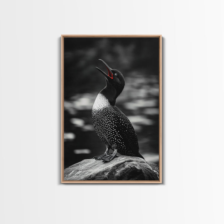 Loon Call, Singing Bird, Red Beak, Monochrome Framed Canvas Print, Wildlife Wall Decor, Bird Lover Wall Art, Rustic Cabin Accent