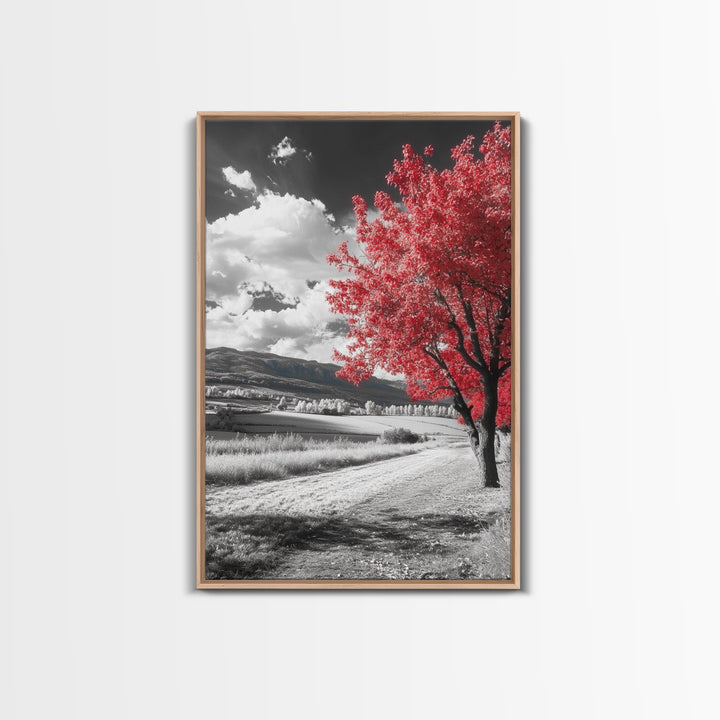 Autumn Red Tree, Scenic Road, Countryside Field, Framed Canvas Print, Fall Wall Art, Rustic Home Decor, Nature Photography, Office Accent