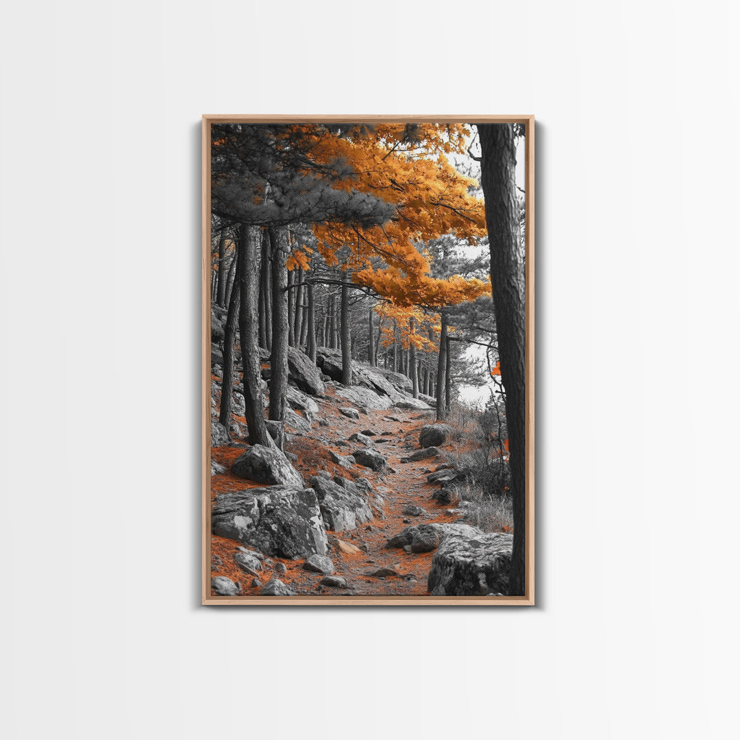 Autumn Forest Path, Orange Leaves, Rocky Woods Trail, Tranquil Nature, Framed Canvas Print, Fall Decor, Cabin Wall Art, Rustic Style