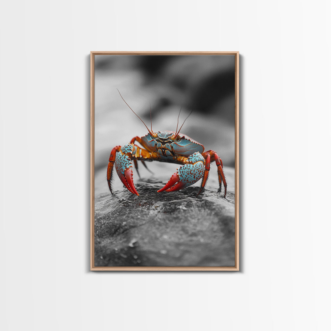 Blue Crab, Vibrant Shell, Coastal Creature Art, Framed Canvas Print, Bathroom Wall Art, Nautical Theme Decor, Ocean Wildlife Art