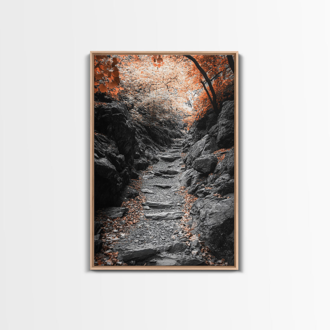 Rocky Trail, Autumn Leaves, Forest Path, Framed Canvas Print, Fall Nature Wall Art, Rustic Entryway Decor, Hiking Landscape Art