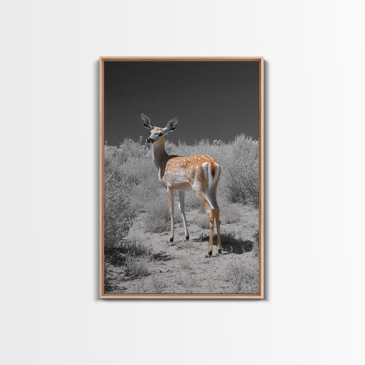 Baby Deer, Spotted Fawn, Desert Wildlife, Framed Canvas Print, Nursery Wall Art, Wildlife Nature Decor, Gentle Forest Animal Art