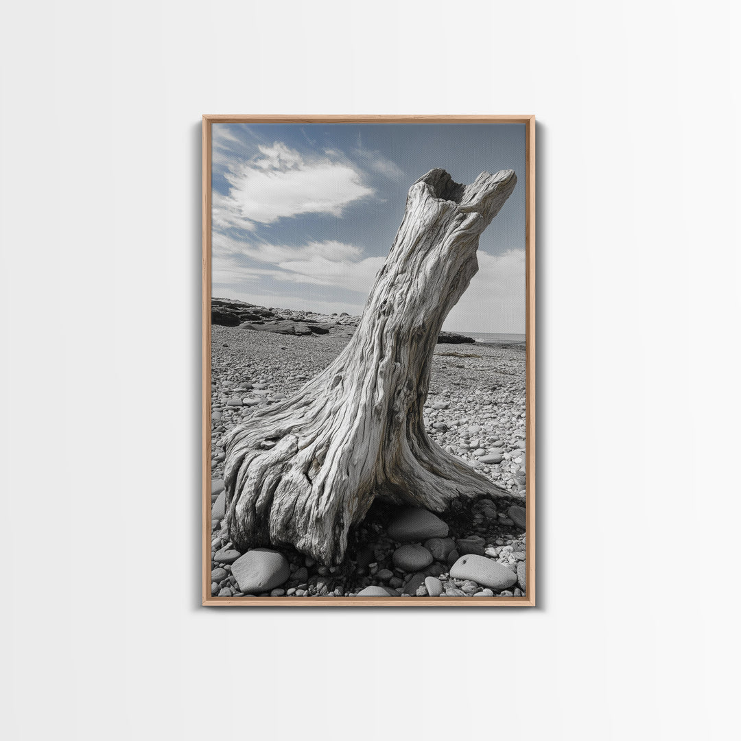 Coastal Driftwood, Beach Stump, Pebble Shore, Framed Canvas Print, Rustic Wall Art, Bathroom Decor, Earthy Beach House Accent