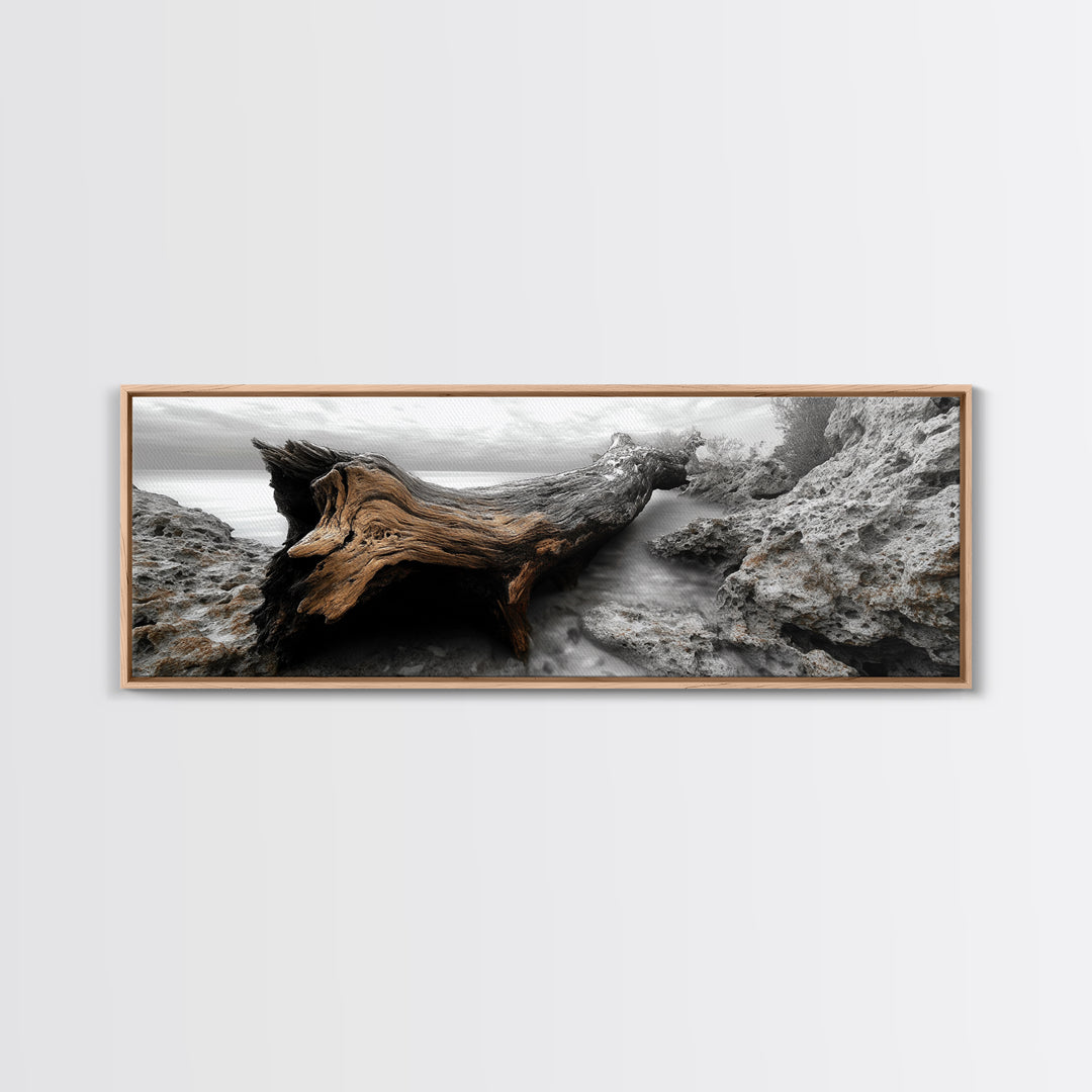 Driftwood Coast, Ocean Roots, Washed Ashore, Beach Texture — Canvas Print, Coastal Decor, Bathroom Wall Art, Monochrome Nature Photography