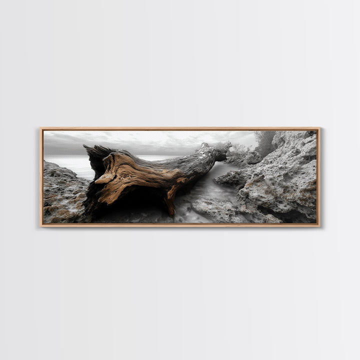 Driftwood Coast, Ocean Roots, Washed Ashore, Beach Texture — Canvas Print, Coastal Decor, Bathroom Wall Art, Monochrome Nature Photography