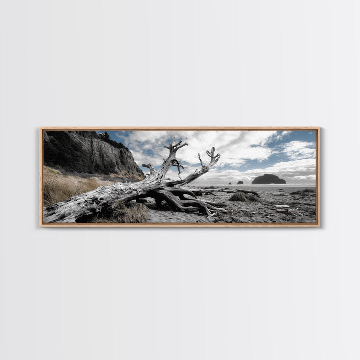 Driftwood, Coastal Tree, Beach Skeleton, Ocean Landscape, Framed Canvas Print, Coastal Decor, Neutral Tones, Office Wall Art