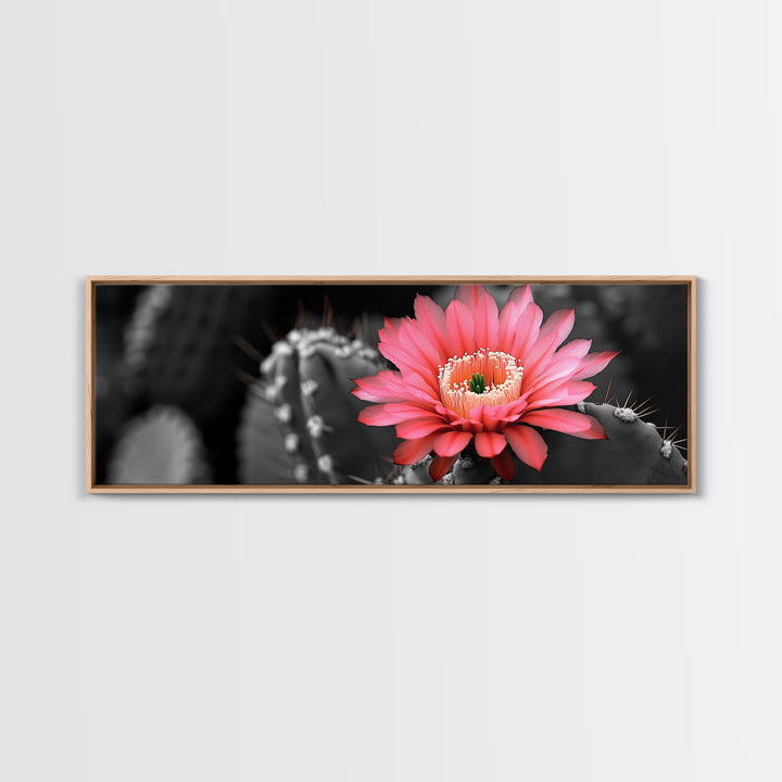 Desert Bloom, Cactus Flower, Vibrant Petals, Nature Beauty, Framed Canvas Print, Boho Wall Art, Living Room Decor, Pink Flower Photography