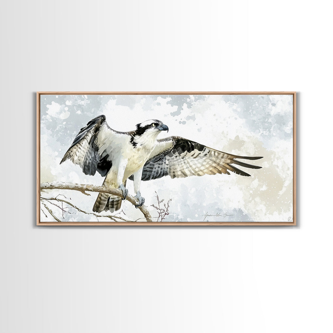 Landing Osprey On Winter Branch Canvas Print, Watercolor Hawk Wall Art, Rustic Nature Decor, Bird Lover Housewarming Gift