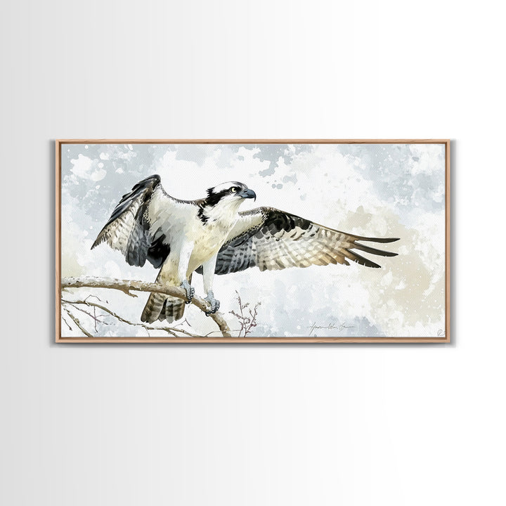 Landing Osprey On Winter Branch Canvas Print, Watercolor Hawk Wall Art, Rustic Nature Decor, Bird Lover Housewarming Gift