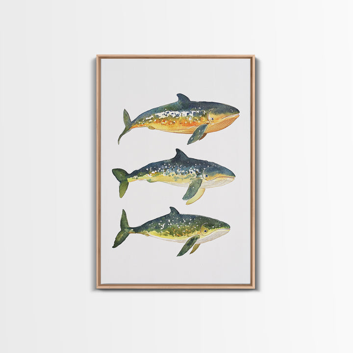 Three Colorful Whales Canvas Print, Marine Life Wall Art, Ocean Animal Art Print, Coastal Nursery Decor, Whale Lover Gift