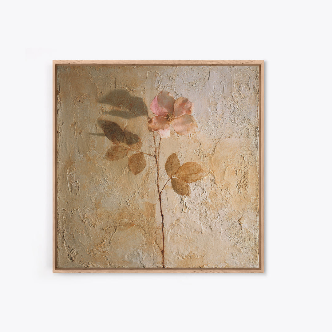 Tonal Botanical Shadows on Plaster Surface Canvas Print, Above Bed Art, Photography Prints, Bedroom Decor, Serenity, ABA-1x1-71