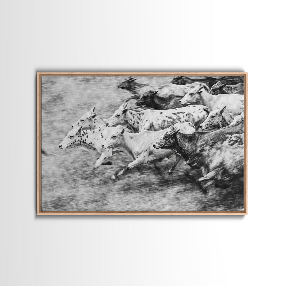 Black And White Running Cattle Wall Art, African Safari Animal Print, Rustic Farmhouse Decor, Western Herd Canvas Artwork