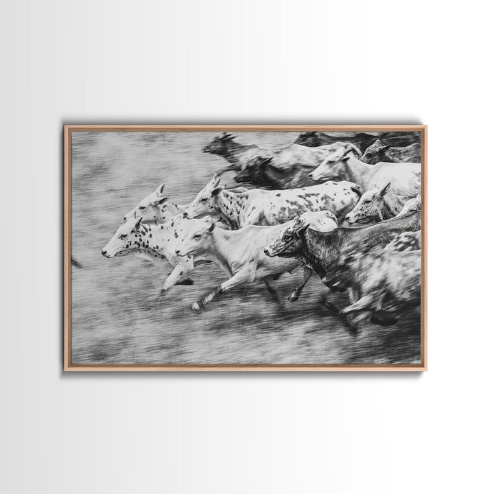 Black And White Running Cattle Wall Art, African Safari Animal Print, Rustic Farmhouse Decor, Western Herd Canvas Artwork