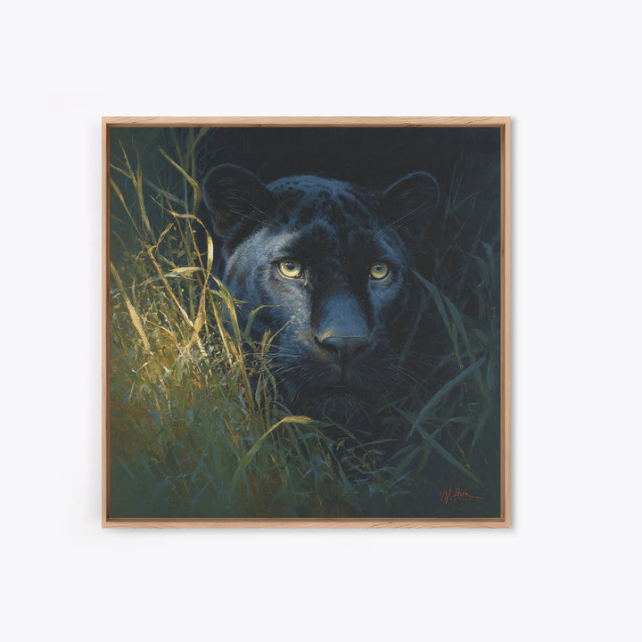 Dramatic Black Panther Emerging from Deep Jungle Canvas Print, Animal Art, Nursery Art, Living Room Decor, Oil Painting, ANI-1x1-30