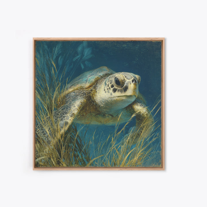 Sea Turtle Drifting Through Luminous Blue Water Canvas Print, Animal Art, Boho Wall Art, Living Room Decor, Creature, ANI-1x1-42