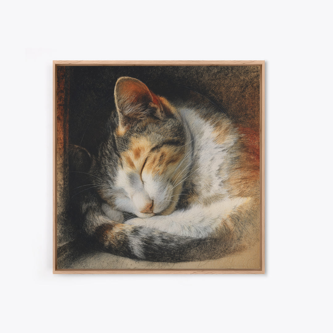 Sleeping Cat Curled Canvas Print, Animal Art, Nursery, Living Room Decor, Fine Art, Creature, Modern Decor, Fine Art Print, ANI-1x1-60